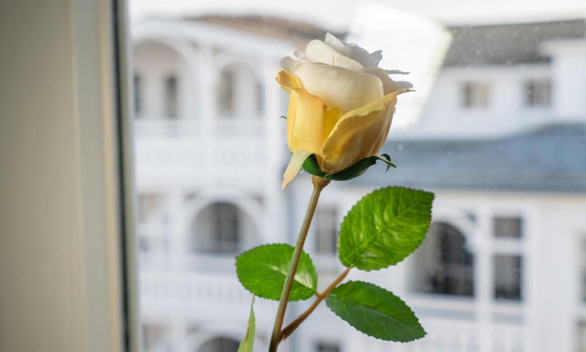 Sehnsucht Ruegen Ferienappartements Sellin  Luaran gambar