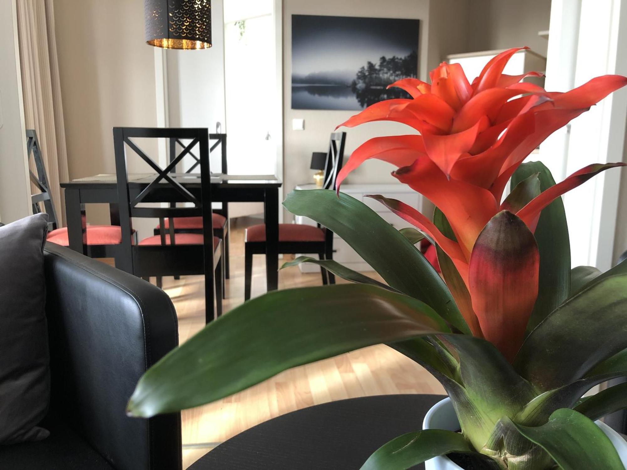 Sehnsucht Ruegen Ferienappartements Sellin  Luaran gambar