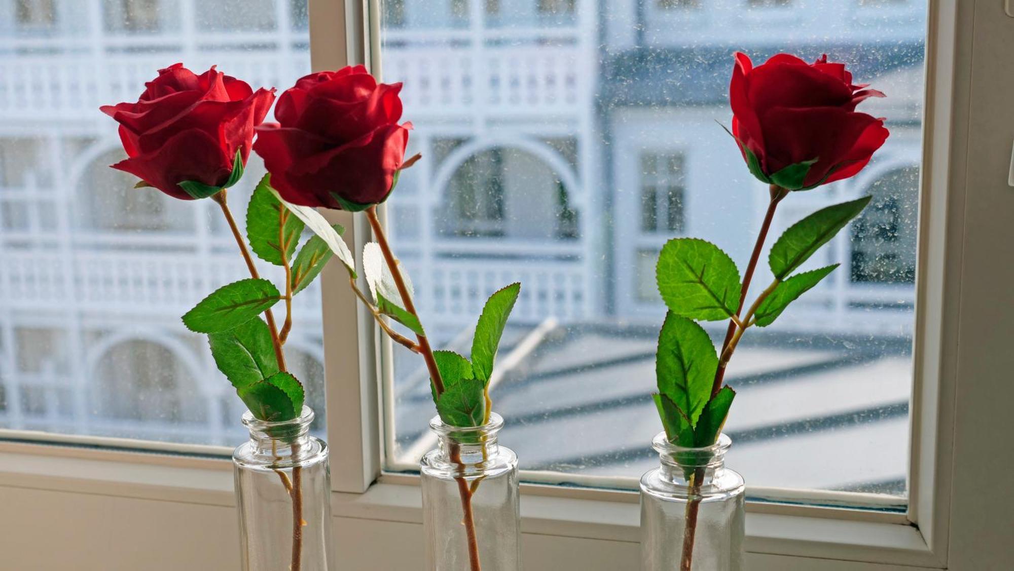 Sehnsucht Ruegen Ferienappartements Sellin  Luaran gambar
